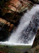 Enlarge photo 52