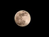 Enlarge photo 61