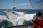 Enlarge photo 30