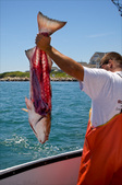 Enlarge photo 39