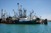 Enlarge photo 45