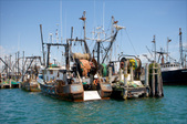 Enlarge photo 46
