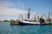 Enlarge photo 47