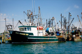 Enlarge photo 48