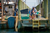 Enlarge photo 49