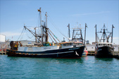 Enlarge photo 50