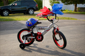 Enlarge photo 53