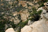 Enlarge photo 27