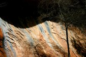 Enlarge photo 33