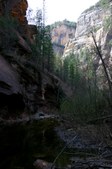 Enlarge photo 35
