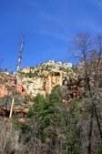 Enlarge photo 41