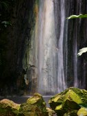 Enlarge photo 35