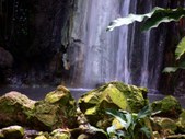 Enlarge photo 36