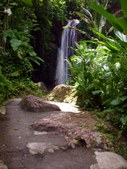 Enlarge photo 39