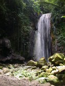 Enlarge photo 40