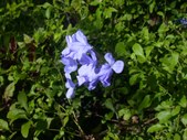Enlarge photo 41