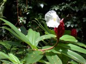 Enlarge photo 48