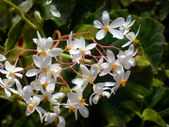 Enlarge photo 49
