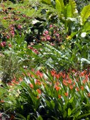 Enlarge photo 50