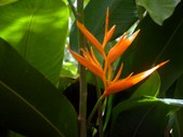 Enlarge photo 53