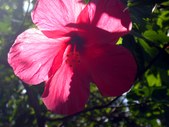 Enlarge photo 54