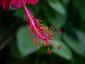 Enlarge photo 55