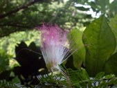 Enlarge photo 57