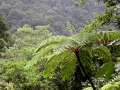 Enlarge photo 80
