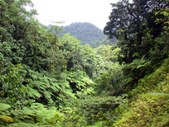 Enlarge photo 82