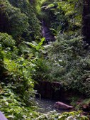 Enlarge photo 86