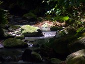 Enlarge photo 87