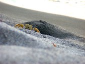 Enlarge photo 88