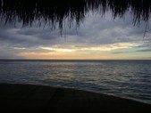 Enlarge photo 95