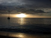 Enlarge photo 96