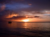 Enlarge photo 97