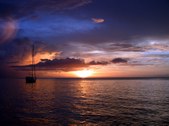 Enlarge photo 98