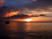 Enlarge photo 99