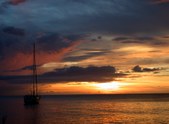 Enlarge photo 103