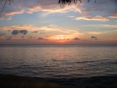 Enlarge photo 104