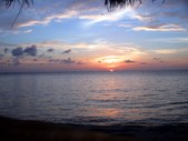 Enlarge photo 105