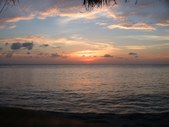 Enlarge photo 108