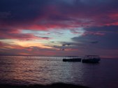 Enlarge photo 110
