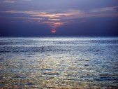 Enlarge photo 112