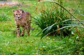 Enlarge photo 80