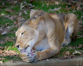 Enlarge photo 123