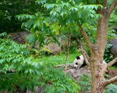 Enlarge photo 107