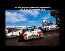 Enlarge photo 157