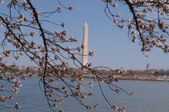 Enlarge photo 35