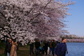 Enlarge photo 38