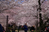 Enlarge photo 39